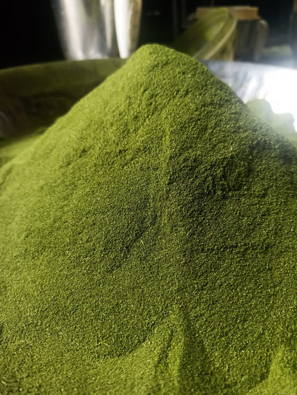 ASIMOR Moringa powder